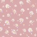 Daisies Pattern for clothes Graphic Vector